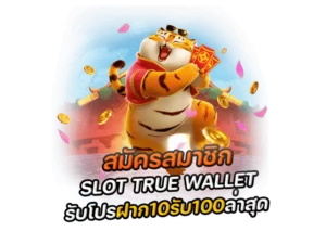 เทคนิคบาคาร่า